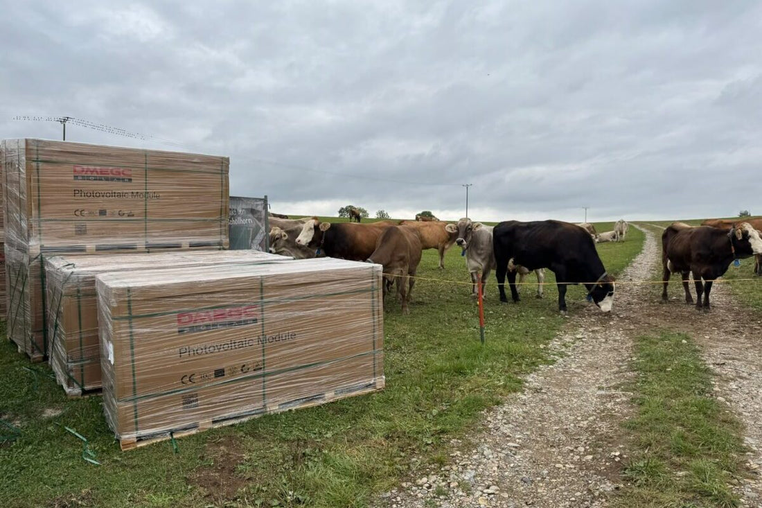 Spatenstich für Agri-Photovoltaik-Anlage mit Speicher
