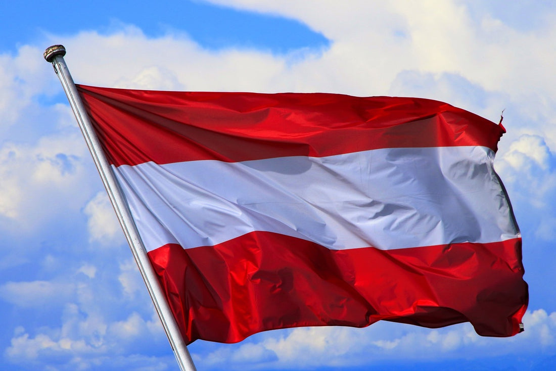 Österreich reformiert Netzentgelte – Kritik an Regelungen für Batteriespeicher